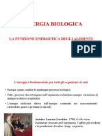 2 - La Funzione Energetica Degli Alimenti