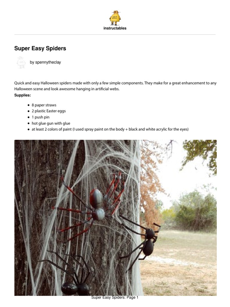 Super Easy Spiders | PDF | Spider