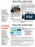 06 - 2020 - BOLETÍN - Listo