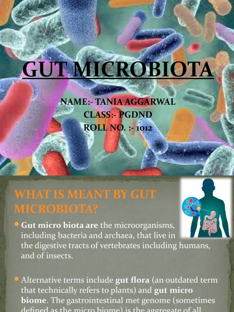 Gut Microbiota | PDF | Gastrointestinal Tract | Inflammation