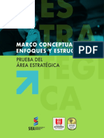 Marco Conceptual Prueba Área Estretégica