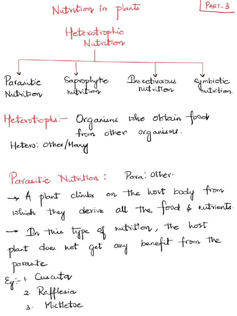 NUTRITION IN PLANTS AND ANIMALS QUESTIONS AND ANSWERS PDF visual data 3
