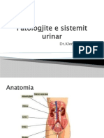 Patologjite e Sistemit Urinar