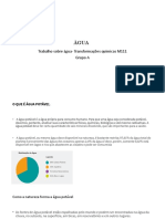 Trabalho Sobre Água-Transformações Químicas M111 Grupo A