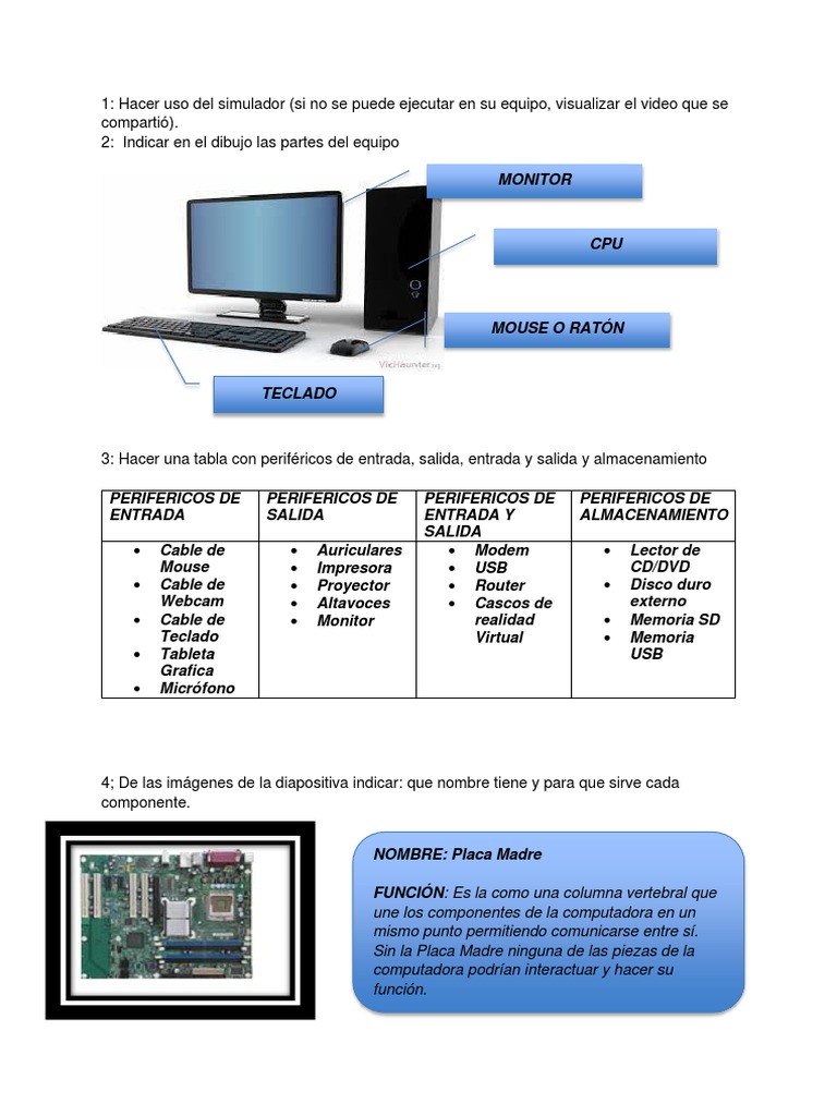 Actividades TIC | PDF | Periférico | Hardware de la computadora