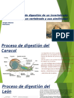 Digestion de Invertebrado y Vertebrado. Espinoza y Chavez