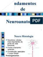 Neuro Cap. 1