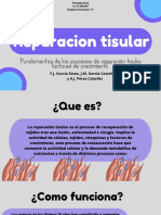 Reparación Tisular Presentación