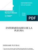 Enfermedades de La Pleura