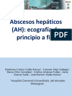 Abceso Hepatico