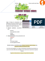 Infección Persistente Sistémica Crónica VHB y VHC