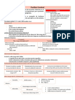 C3 Resumen Parálisis Cerebral