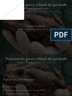 Apresentação