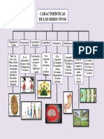 Mapa Conceptual de Las Caracteristicas de Los Seres Vivos