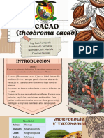 Expo Cacao