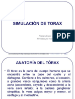 Simulacion de Tumores Del Torax