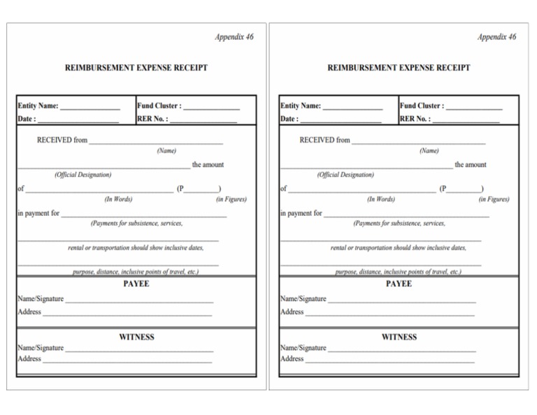 RER Template | PDF