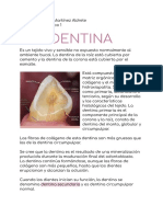 Dentina