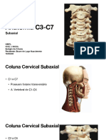 Anatomia c3-c7