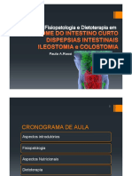 Slides Tema 15