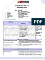 Er 6° - Sesión 11 de Agosto