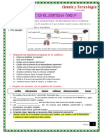 El Esqueleto PDF