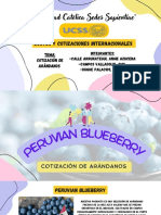 Cotización-Peruvian Blueberries