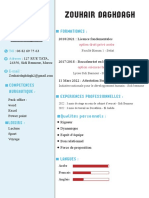 Zouhair Daghdagh Cv-1