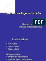 Genetransfercourse10 25