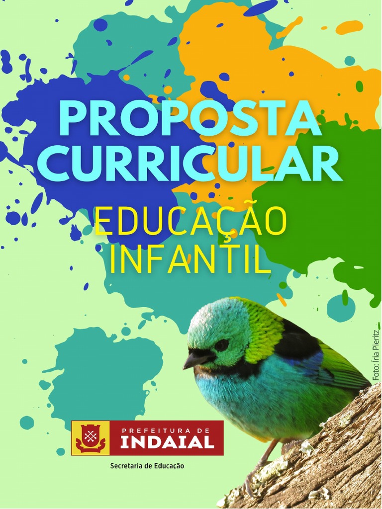 Proposta Curricular - Educação Infantil | PDF | Pedagogia | Pré-escola