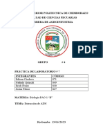 Informe 7