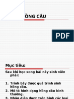 NCS2 - LT - Bài 2.1. Dòng hồng cầu