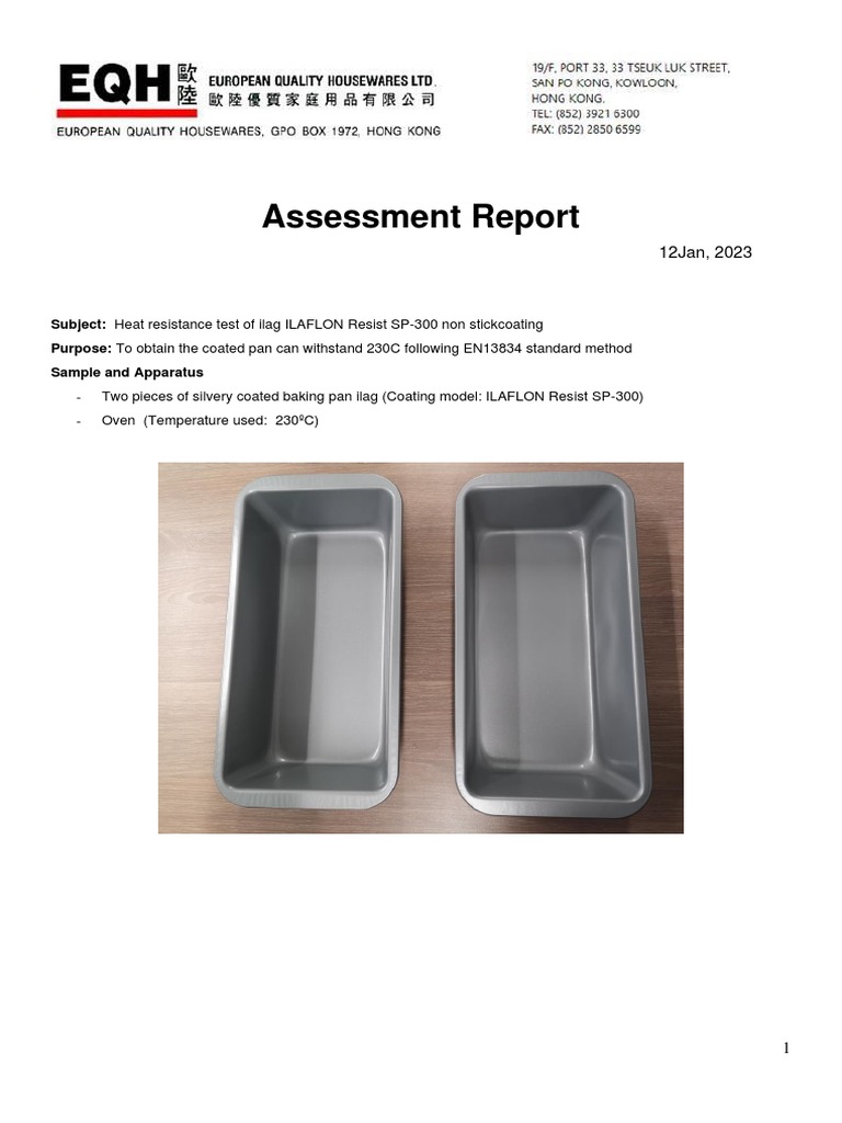 Assessment Report of Ilag ILAFLON Resist SP-300 Non Stickcoating | PDF