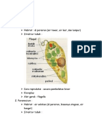 Identifikasi Jenis Protozoa