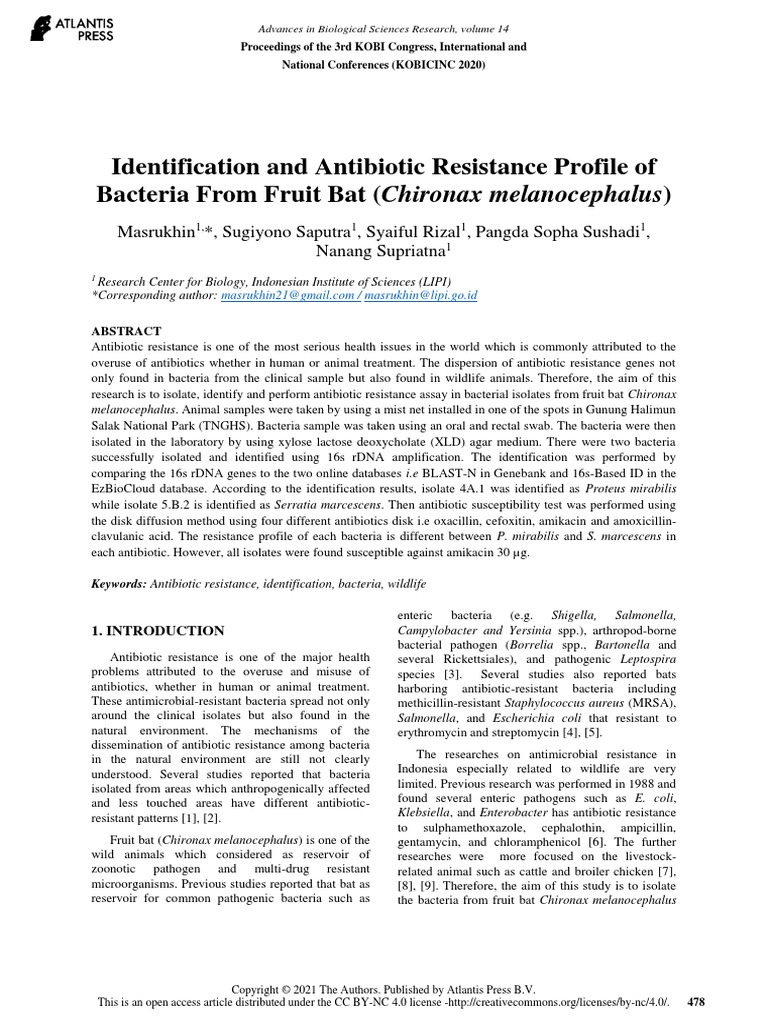 Identification and Antibiotic Resistance Profile of Bacteria From Fruit ...