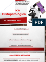 Tcnica Histopatolgica