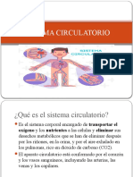 Sistema Circulatorio