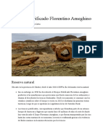 Bosque Petrificado Florentino Ameghino