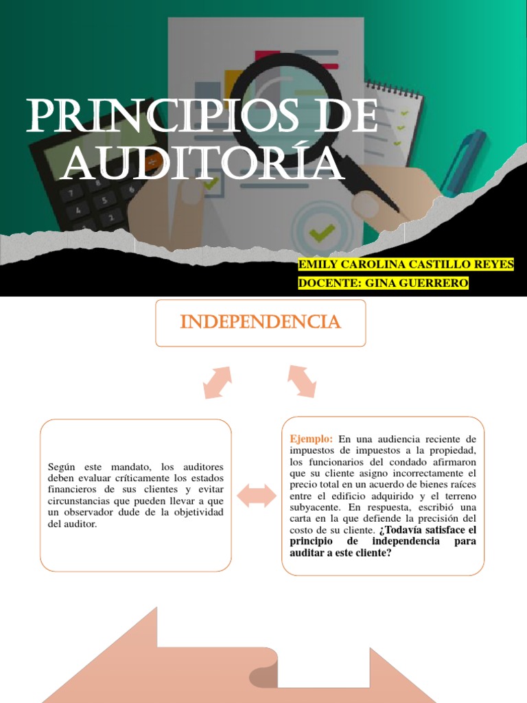Principios De Auditoría Pdf Auditoría Contralor