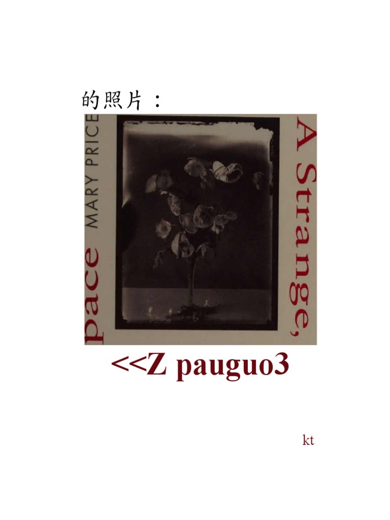 Mary Price - The Photograph A Strange, Confined Space ZH | PDF, image size:768x1024