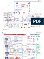 Ginecología - Mapas Mentales - rm2023