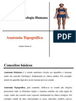 Anatomia Topografica