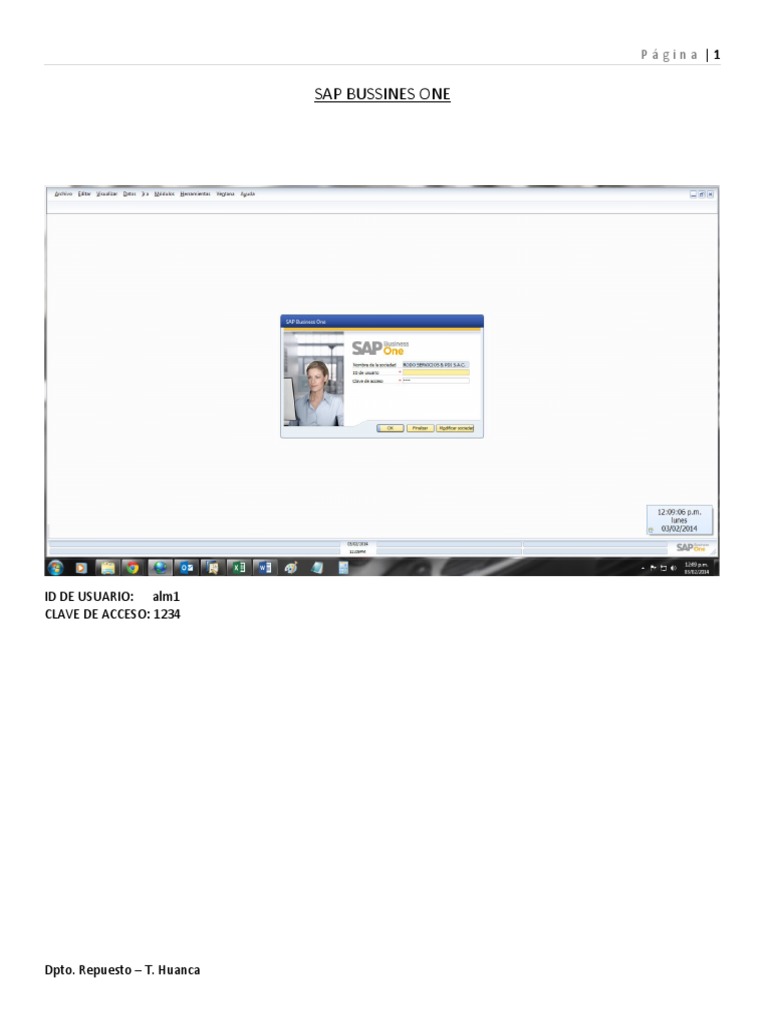SAP USERS MANUAL visual data 3
