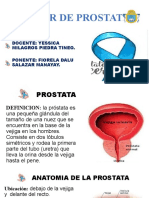 Cancer de Prostata Expo Dalu