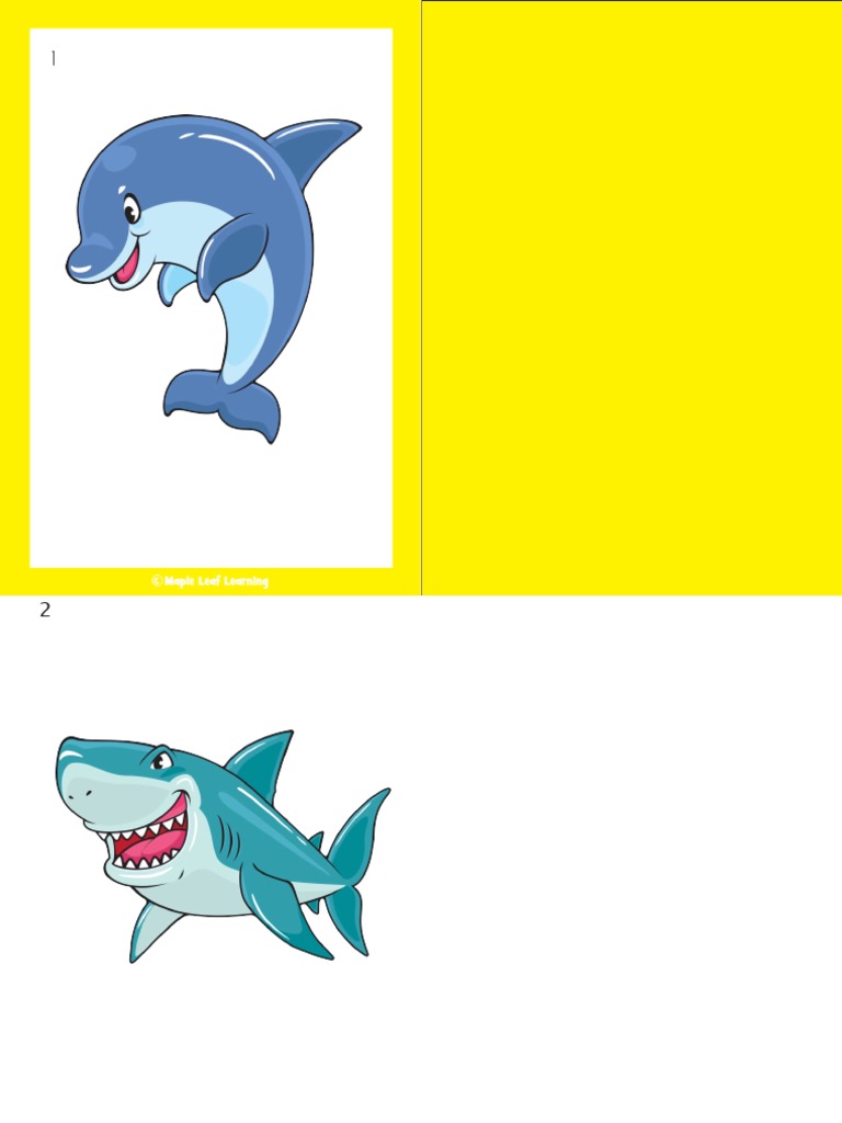 Aquarium Animal Flashcards Pdf