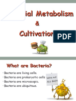 Metabolism and Bacteria Cultivation