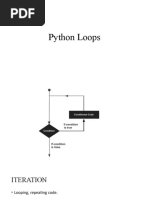 v2 Python Loops