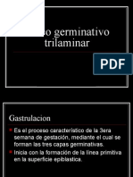 Disco Germinativo Tri Laminar