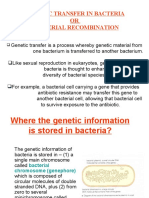 Bacteria-Genetic Transfer