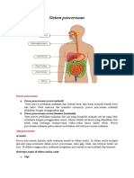 Pencernaan Biologi